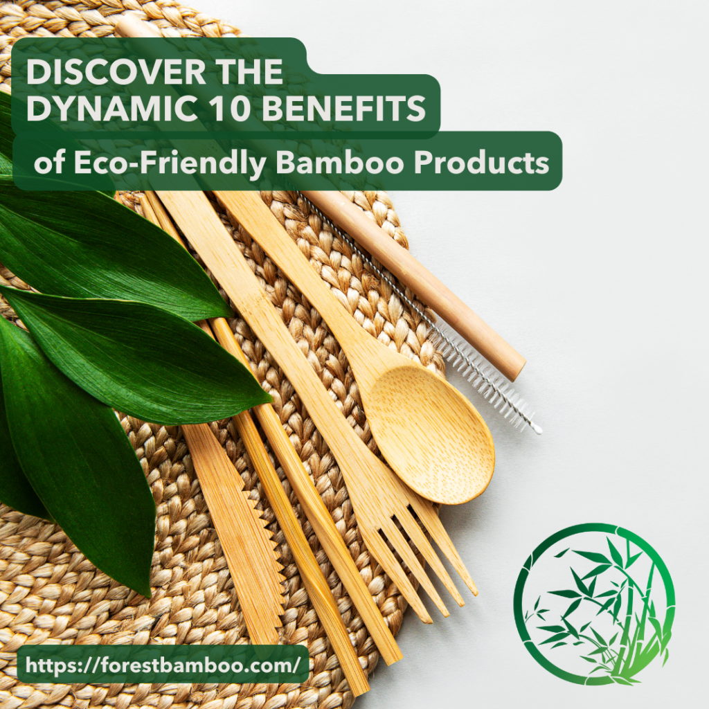 Discover the Dynamic 10 Benefits of Eco-Friendly Bamboo Products