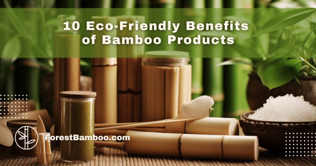10 Eco-Friendly Benefits of Bamboo Products