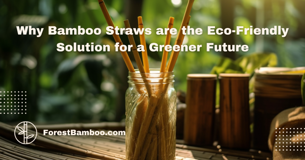 Why Bamboo Straws are the Eco-Friendly Solution for a Greener Future