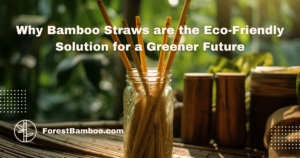 Why Bamboo Straws are the Eco-Friendly Solution for a Greener Future