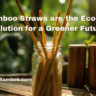 Why Bamboo Straws are the Eco-Friendly Solution for a Greener Future