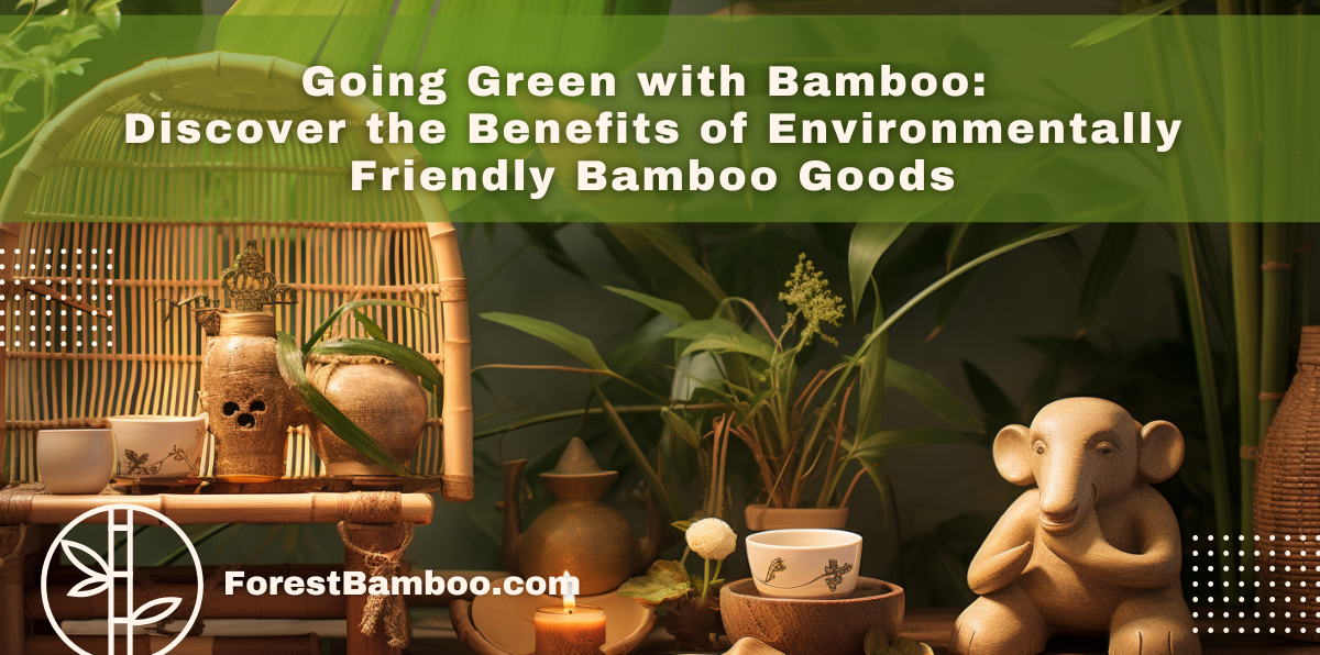 Going Green with Bamboo: Discover the Benefits of Environmentally Friendly Bamboo Goods