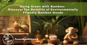 Going Green with Bamboo: Discover the Benefits of Environmentally Friendly Bamboo Goods