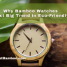 Why Bamboo Watches Are the Next Big Trend in Eco-Friendly Fashion