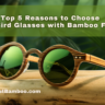 Top 5 Reasons to Choose Bobo Bird Glasses with Bamboo Frames