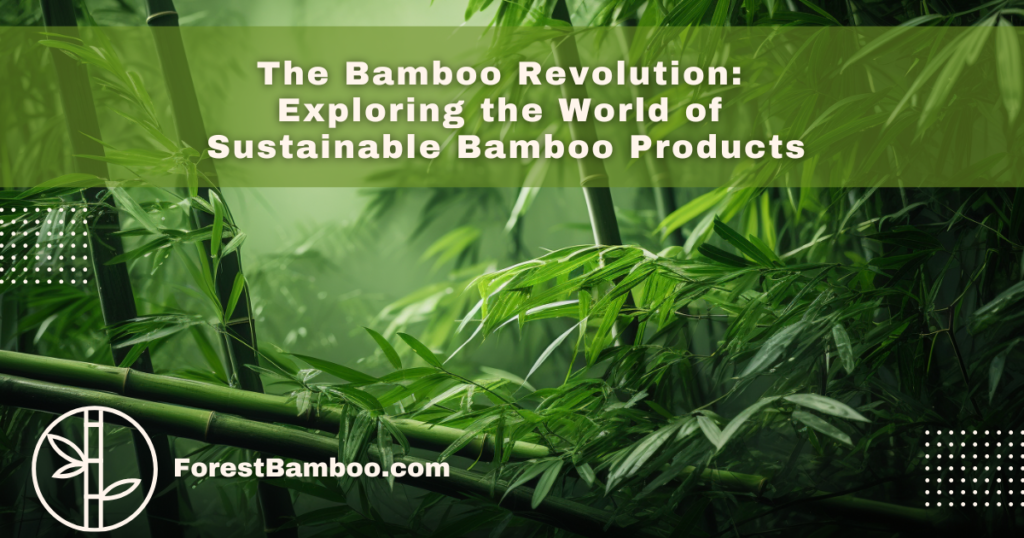 The Bamboo Revolution: Exploring the World of Sustainable Bamboo Products