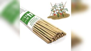 Bamboo Garden Stakes: Essential Support for Thriving Climbing Plants
